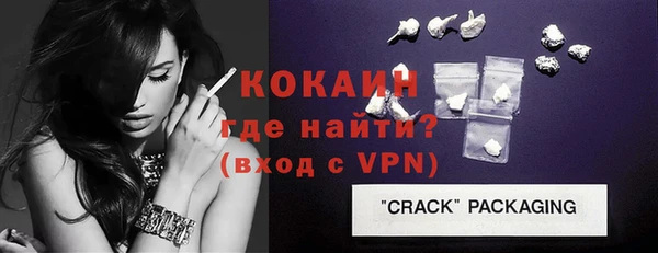 гашик Дмитров