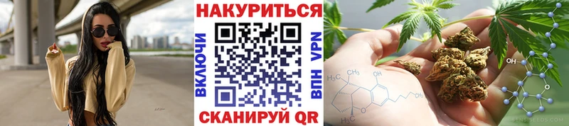 mega как войти  Новочебоксарск  Бошки Шишки SATIVA & INDICA  продажа наркотиков 